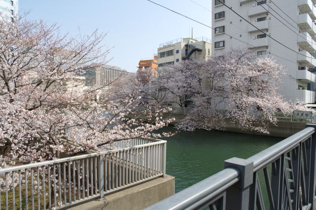 東富橋から川を離れて永代通りへ。