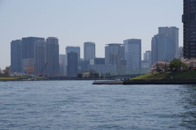 晴海運河の先の存在感のある豊洲の高層ビル群。