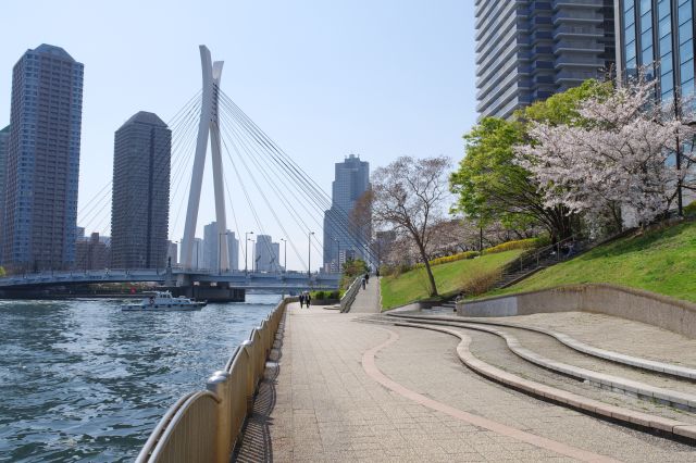 心地よい川沿いの遊歩道。