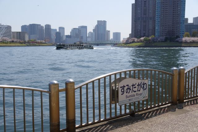 隅田川河口部の開放的で心地よい公園です。