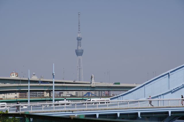 東京スカイツリーも見えます。