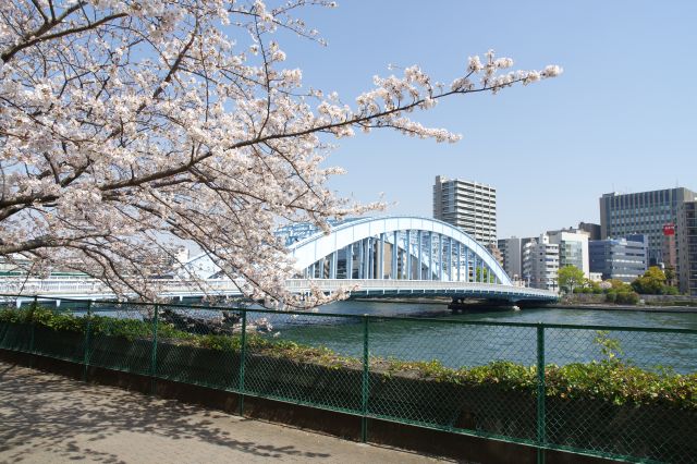 道路に近い事もありここで撮影する人が多いです。