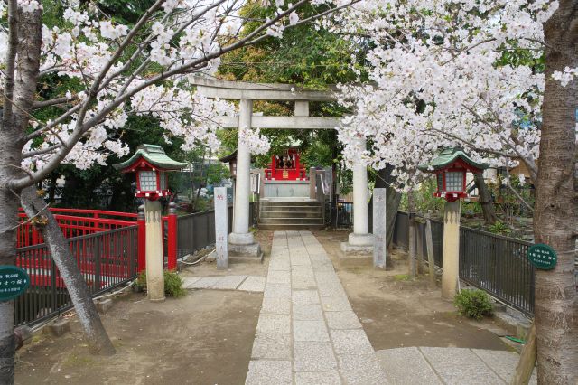 左に七渡神社（七渡弁天と親しまれる八幡宮創祀前からの地主神）、粟島神社（裁縫上達の神様）。