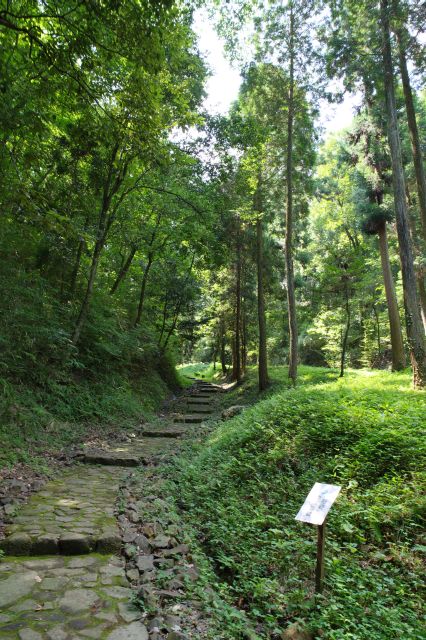 大手道、山城で豊かな自然の中の坂道を登っていきます。夏でも少し涼しい程度で暑いです。