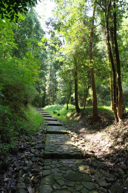 ひたすら角度のある斜面で夏にはちょっと疲れます。