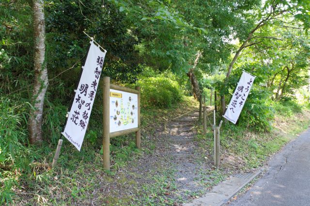 道路に出ました。ここまで自然豊かな山道の散策路でした。