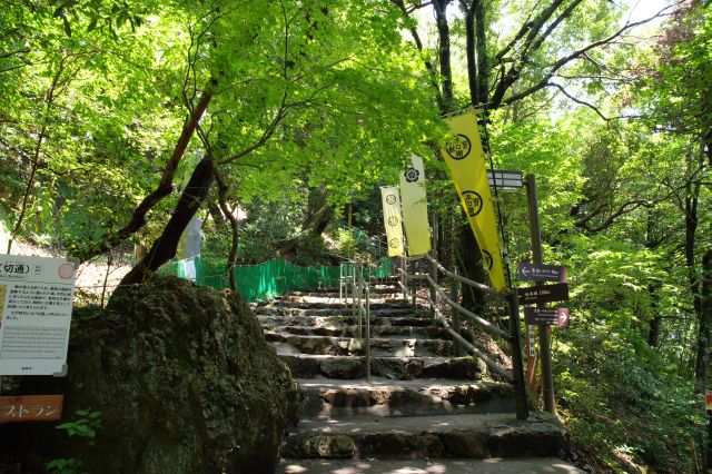 階段を登ります。