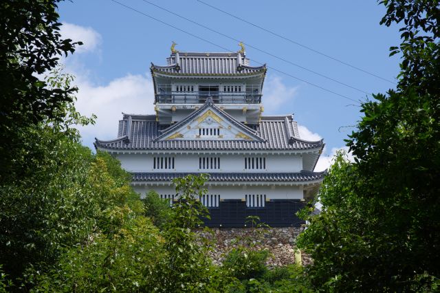 顔を出す岐阜城の天守。