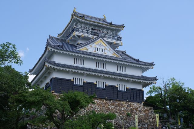 山頂に立つ大きな天守。