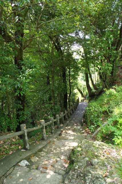 自然豊かな山道を下っていきます。