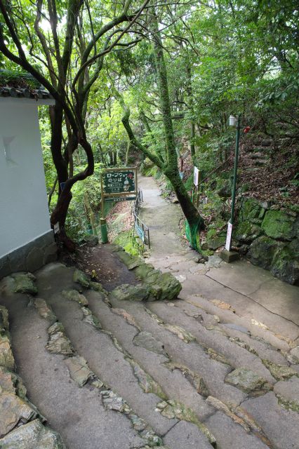 この先も行きとは違う右側の道を進みます。