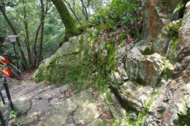 生々しく岩肌が向きだす山道。