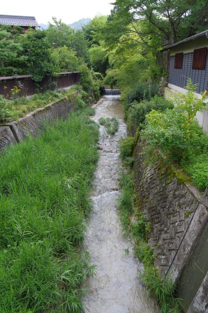 岩村川の流れ。