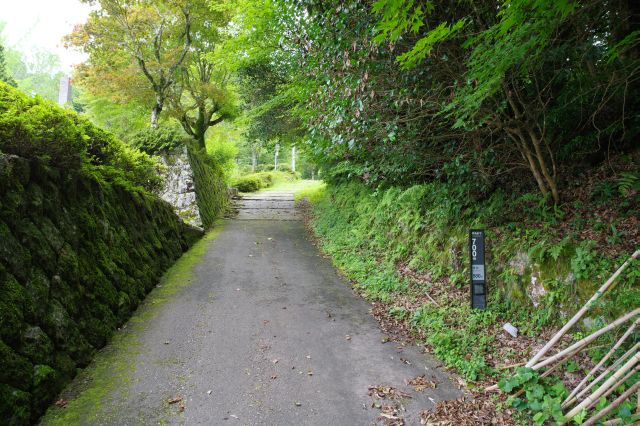 住宅がなくなり山の坂道の雰囲気へ。