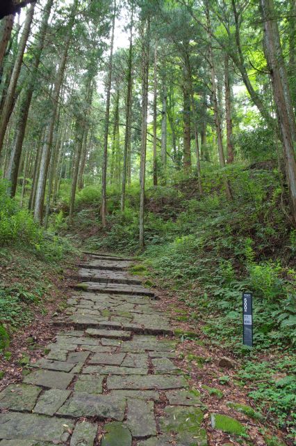 本丸まで500mの表示。自然の植物・空気の中、急坂をひたすら登ります。