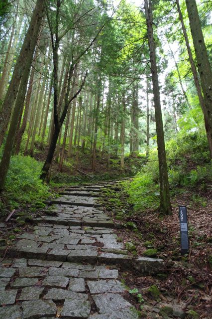 急坂が続いて疲れます。