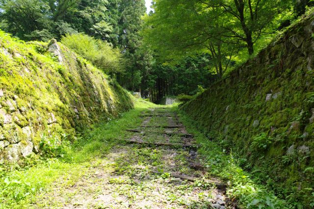 石垣に挟まれた坂道を登ります。城跡、遺跡らしい雰囲気が出てきました。