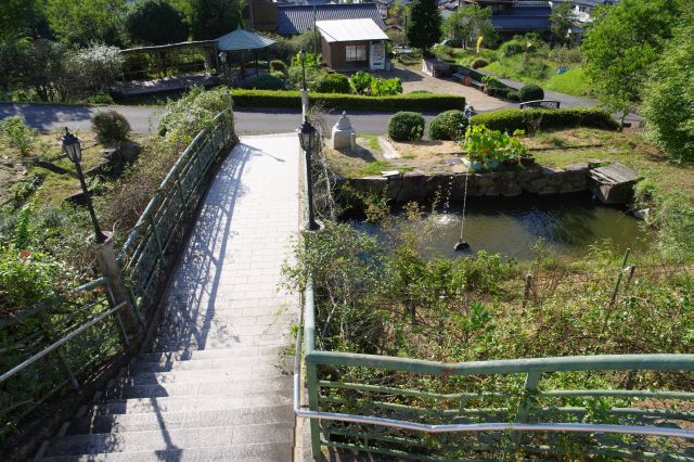 足元には噴水や植物があふれる。