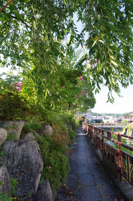 頭上の植物も心地よい。