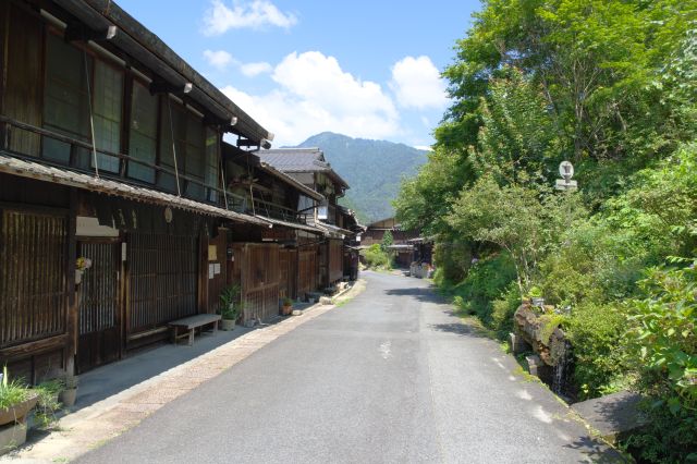 T字路の左へ。セミが鳴き静か、左側に木造の伝統的な家屋が並びます。木の香りが漂います。