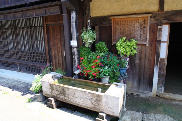 植物に囲まれた水鉢が風流で心地よい。