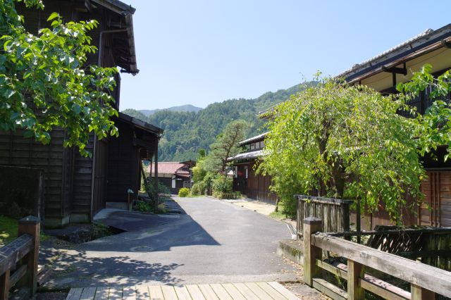 後方、橋周辺の風景。