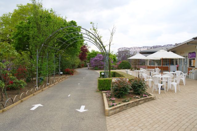 藤のソフトクリームのお店も。