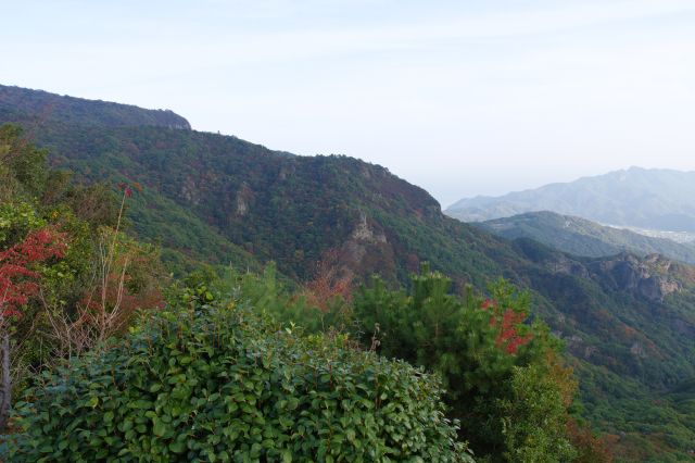 左側のスケールの大きな山のライン。