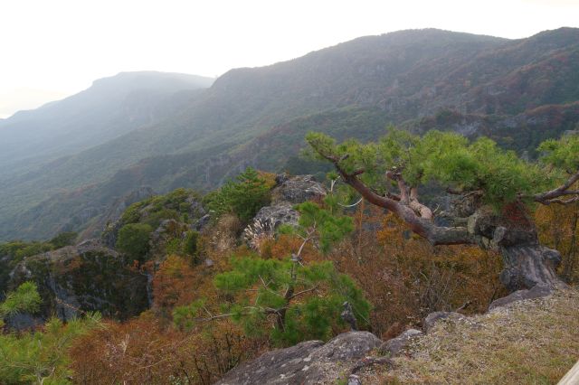 特に右側の岩肌が見やすいです。