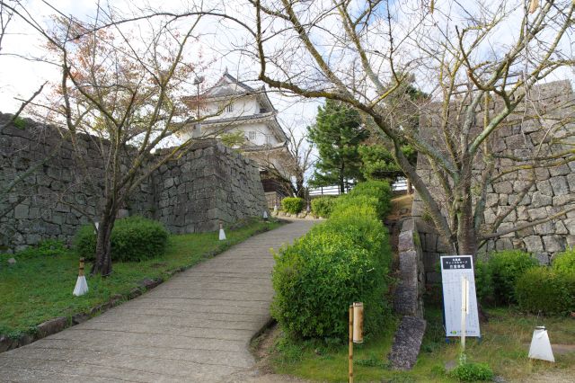 本丸へと最後の坂を登ります。