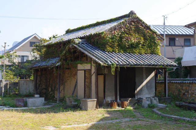 右奥の歴史を感じさせる建物。