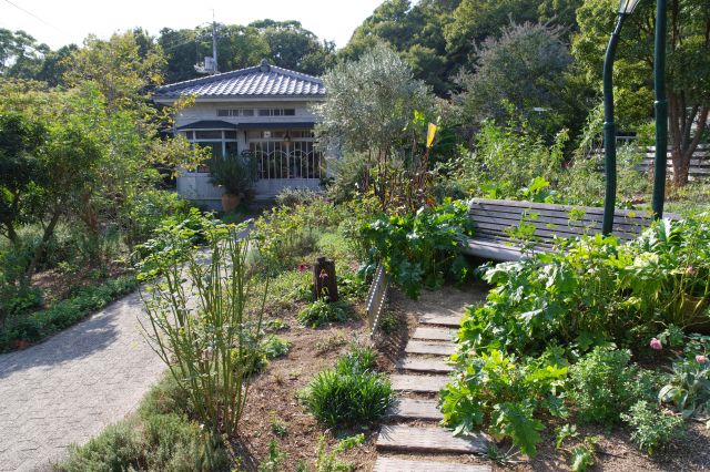 コリコの周りも豊かな植物。