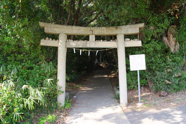 神社の鳥居。