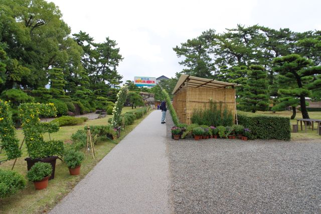 城内に入ると庭園や松の木々。正面は月見櫓方面、まずは右の本丸方面へ向かいます。