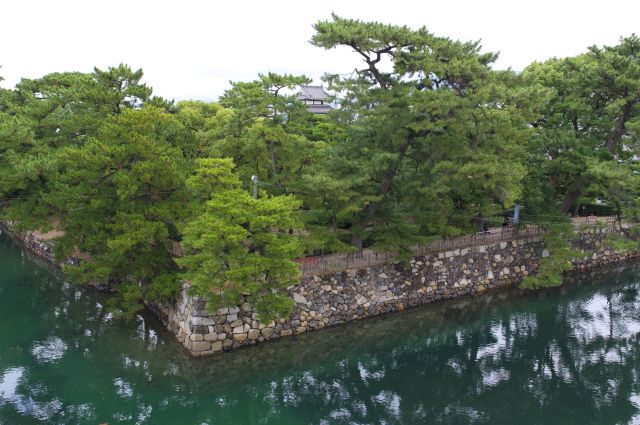 北東側は三の丸。披雲閣庭園の松の木々、奥には月見櫓が見えます。