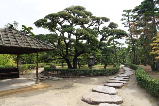 三ノ丸の中央部には披雲閣庭園があります。