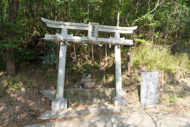 中腹にある中宮は斜面に向かって立つ鳥居と小さな祠。