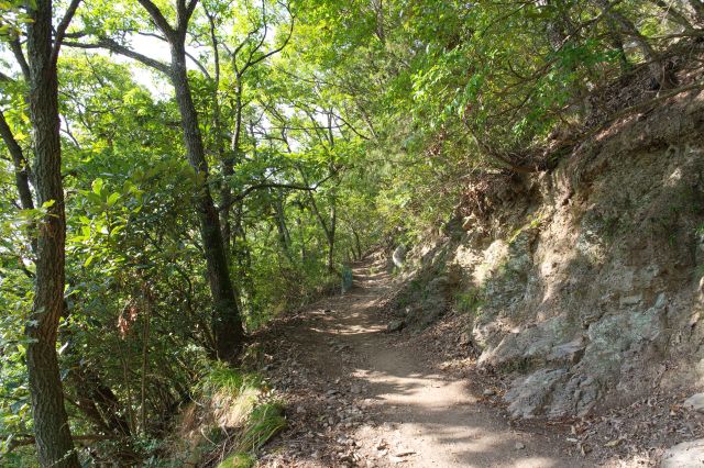 斜面の岩場も生々しくなっていきます。