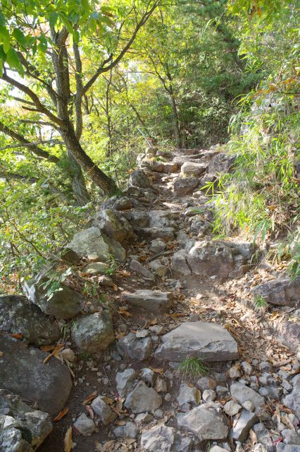 ゴツゴツした岩場を登ります。