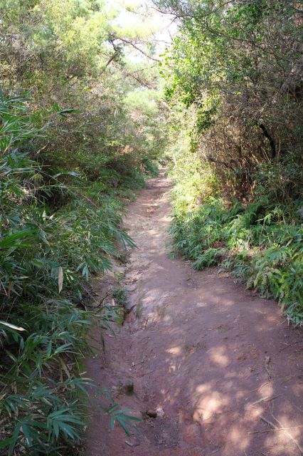 段差があり足場を選びながら登っていきます。まっすぐで風景に変化がないのもつらい。