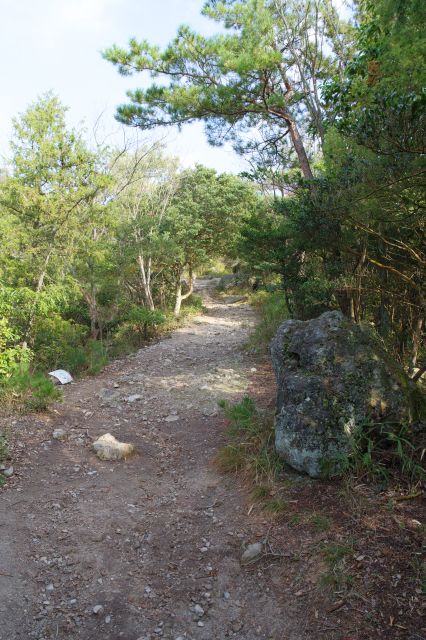 左側が開けた場所へ。標高が高くなったため涼しい。