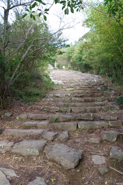 徐々に石の階段が現れました。最初は崩れたような形。