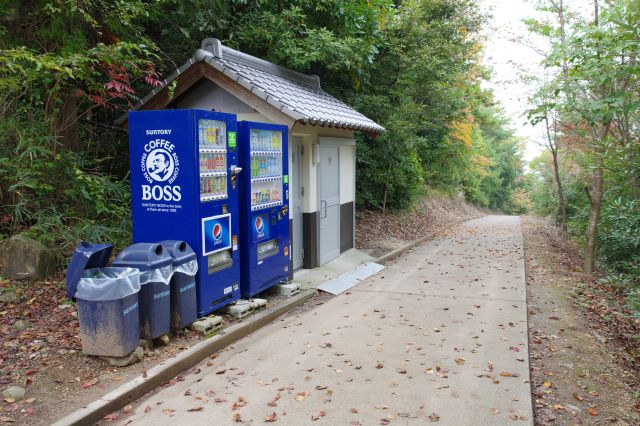 右脇にはトイレと自販機、駐車場からの道。