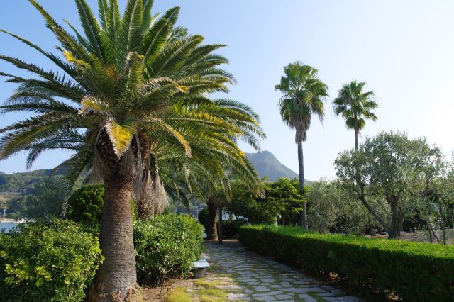 港の角にある緑あふれる公園内を散策。