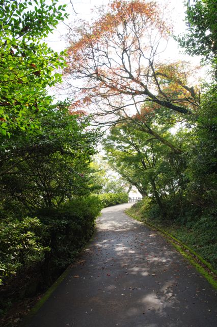 南側へ自然豊かな散策路を進みます。