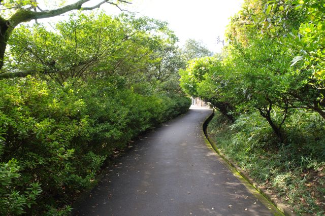 散策路をどんどん進みます。