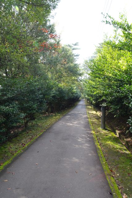 進むと交差点があり正面は屋嶋城（やしまのき）跡ですが左へ進みます。