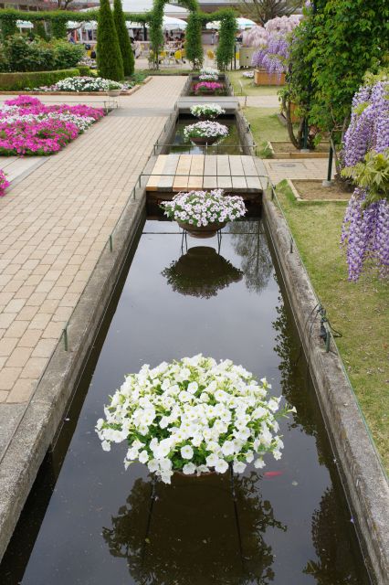 水路の上にもお花。