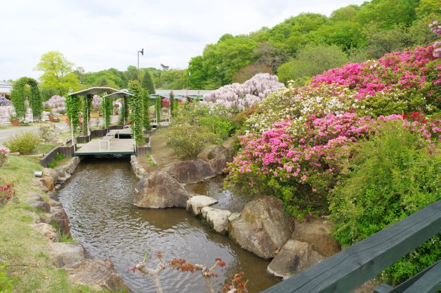 南側は心地よい水路とあふれるお花達。