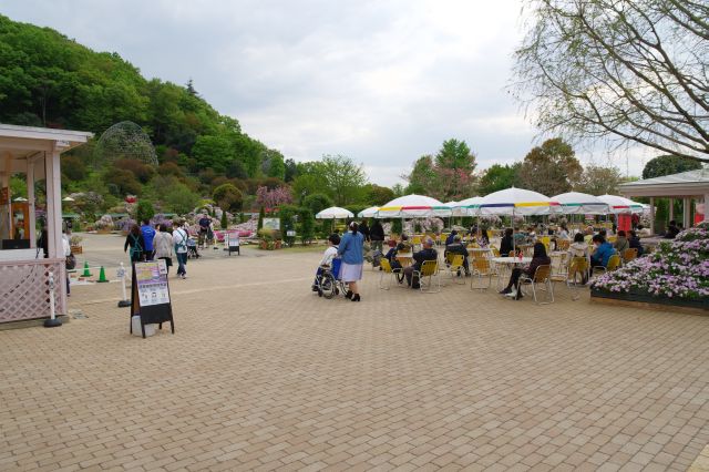 園内へ。正面は飲食エリア、左側にお花エリアが広がります。